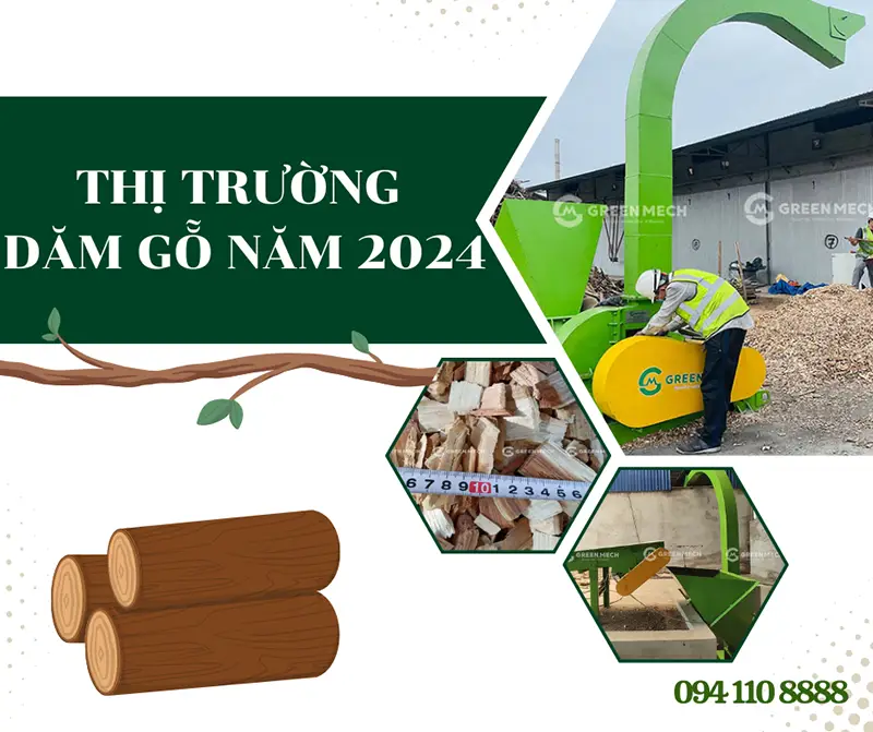 Thị trường dăm gỗ năm 2024