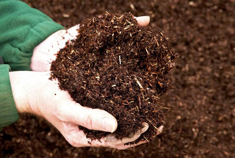 Máy băm dăm gỗ mini biến phế liệu gỗ thành sản phẩm có giá trị sử dụng (phân bón từ mùn cưa)